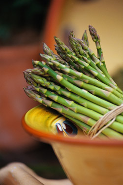 natural uti remedy