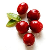 Cranberries for UTI